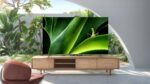 P735-TCL-4K-HDR-TV-Essential-Accessories